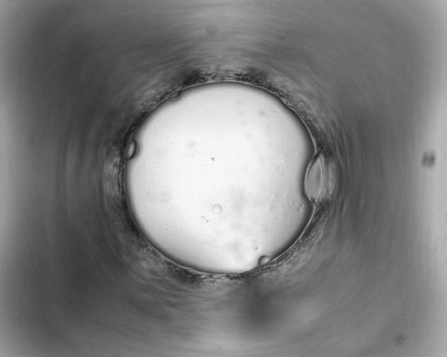 X0000102371059200808151830