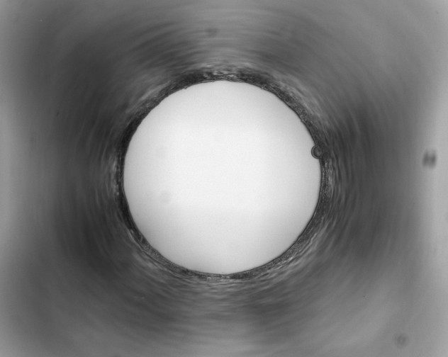 X0000102371060200808151830