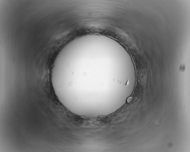 X0000102371061200808151830