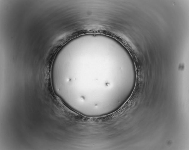 X0000102371063200808151830