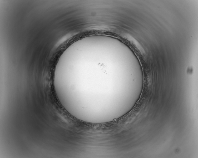 X0000102371064200808151830