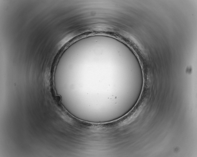 X0000102371065200808151830