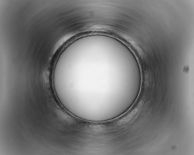 X0000102371066200808151830