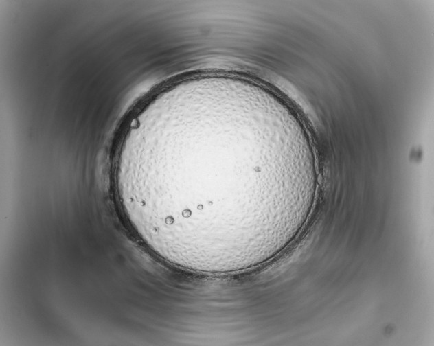 X0000102371067200808151830