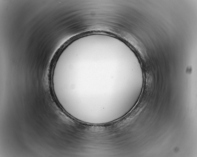 X0000102371068200808151830