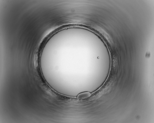 X0000102371069200808151830