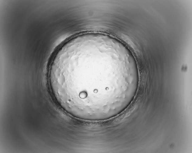 X0000102371071200808151830