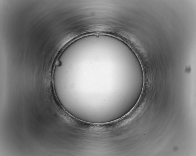 X0000102371073200808151830