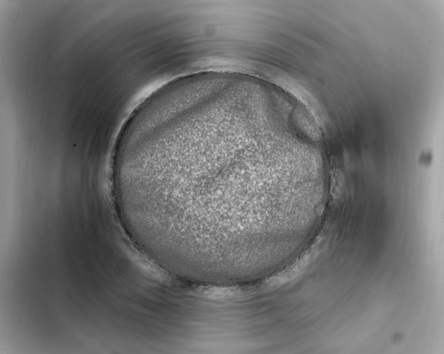 X0000102371074200808151830