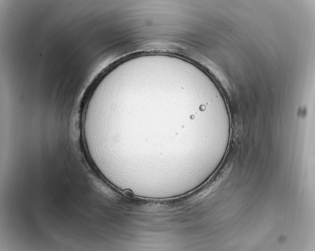 X0000102371075200808151830