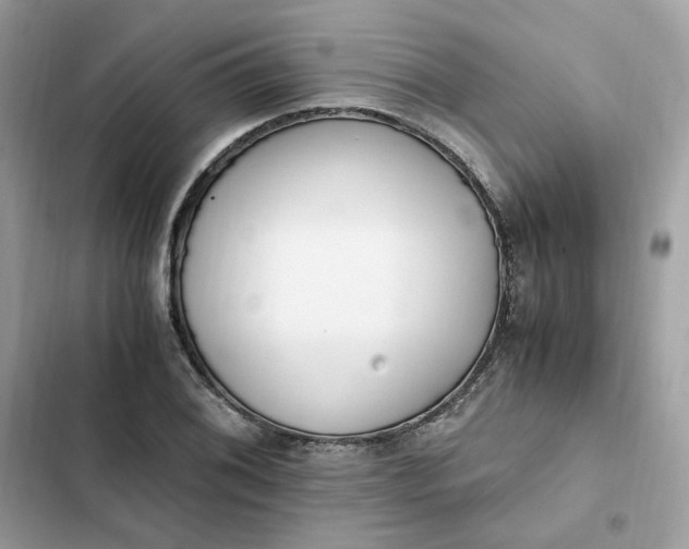 X0000102371076200808151829