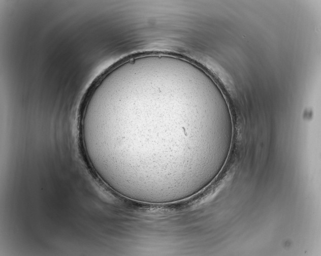 X0000102371077200808151829