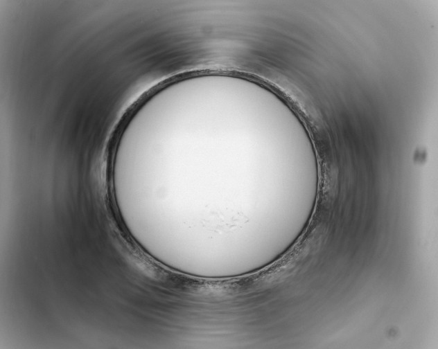 X0000102371078200808151829