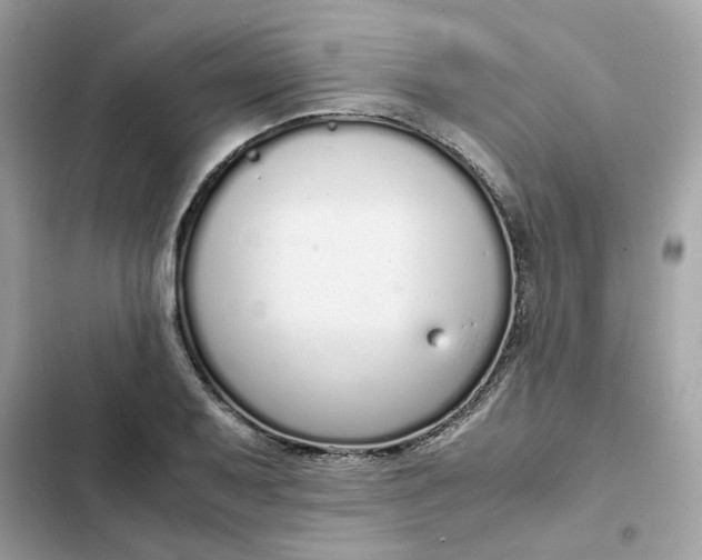 X0000102371079200808151829