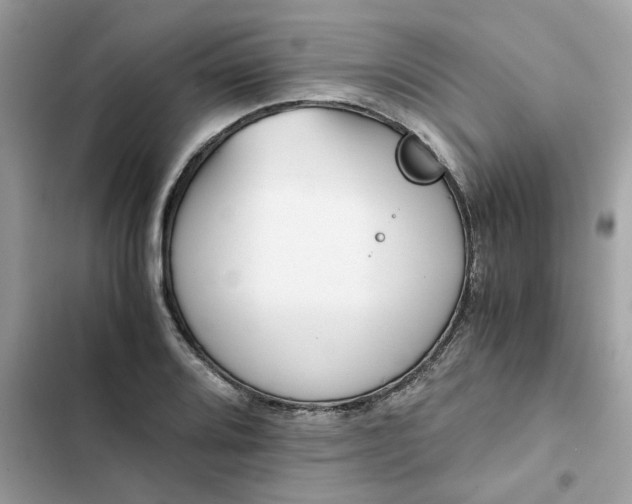 X0000102371080200808151829