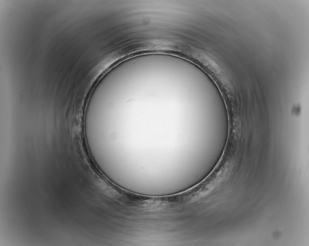 X0000102371081200808151829