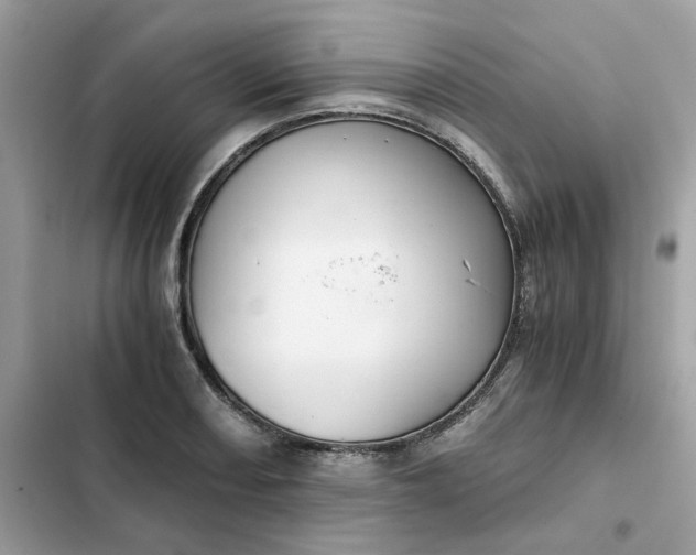 X0000102371082200808151829