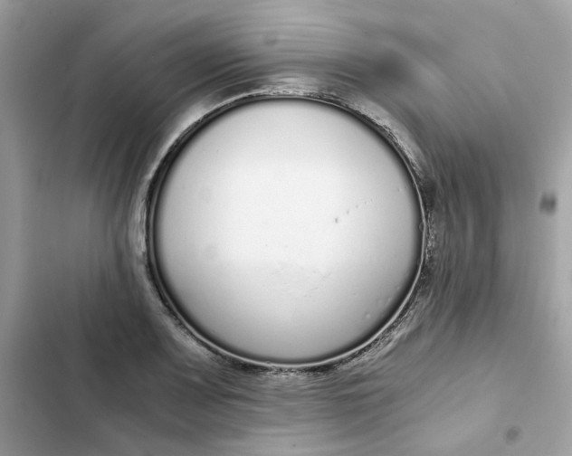 X0000102371083200808151829