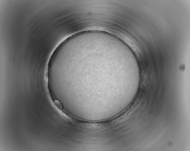 X0000102371084200808151829