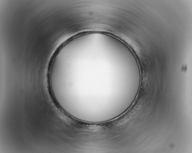 X0000102371085200808151829