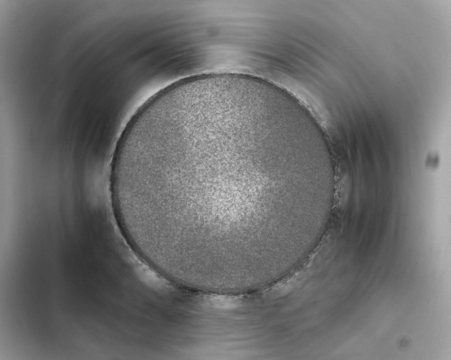 X0000102371086200808151829