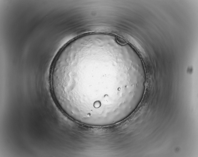 X0000102371087200808151829