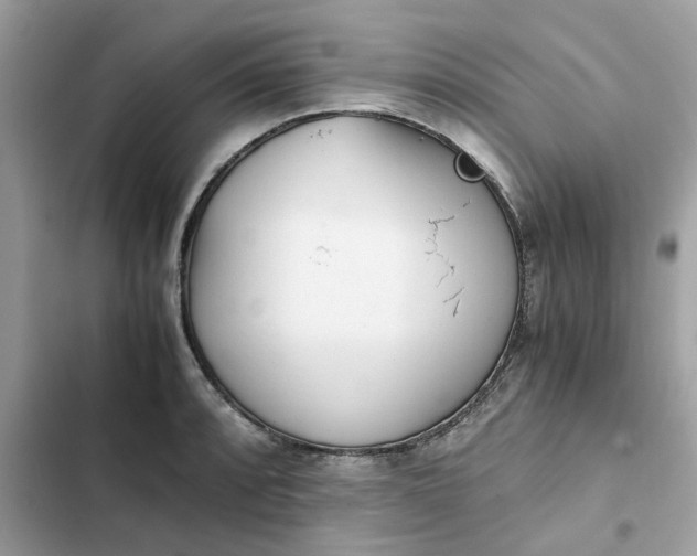 X0000102371088200808151829