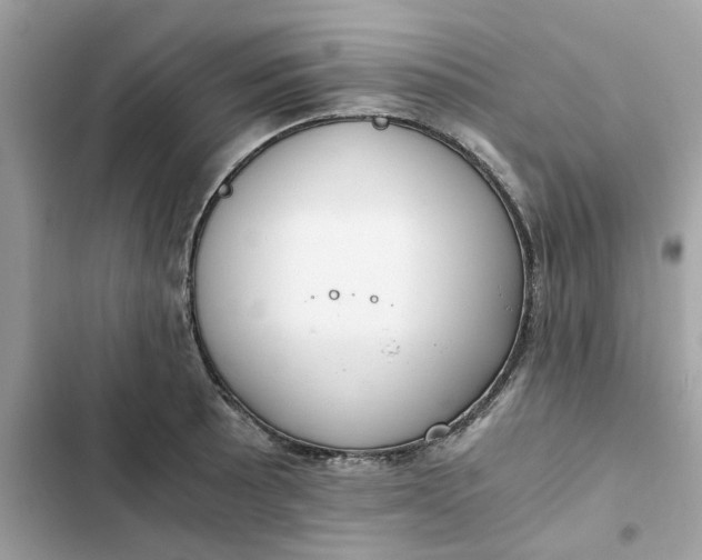 X0000102371089200808151829