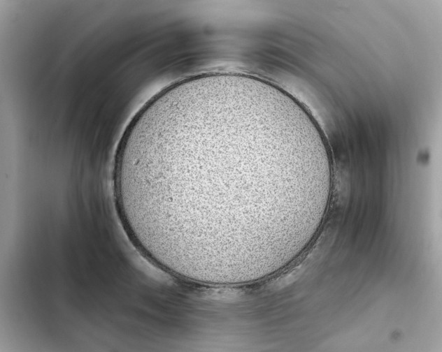 X0000102371090200808151829