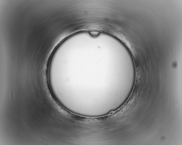 X0000102371091200808151829