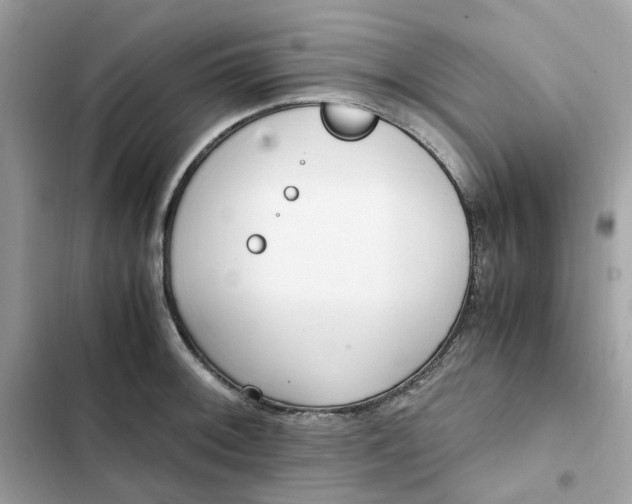 X0000102371092200808151829