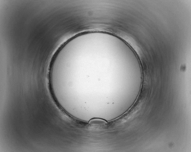 X0000102371093200808151829