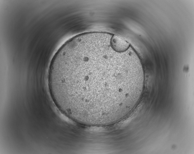 X0000102371094200808151829