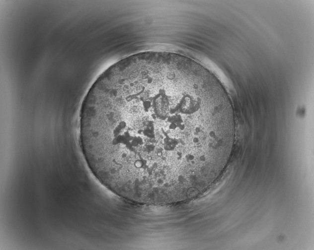 X0000102371095200808151829