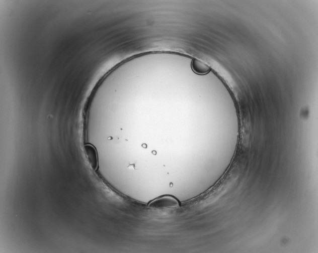 X0000102371096200808151829