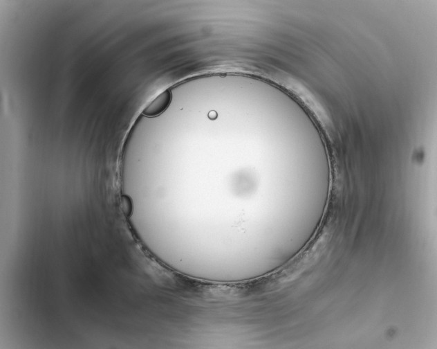 X0000102371097200808151829