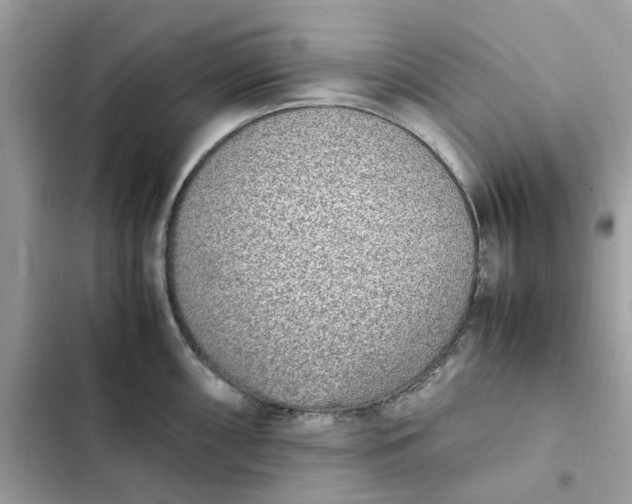 X0000102371098200808151829