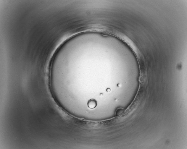 X0000102371099200808151829