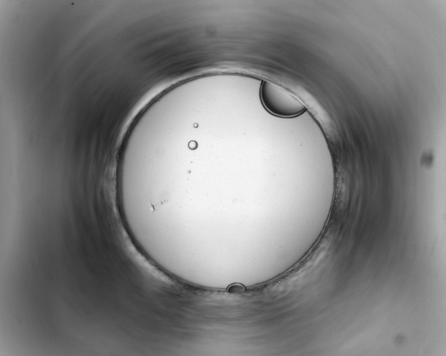 X0000102371100200808151829