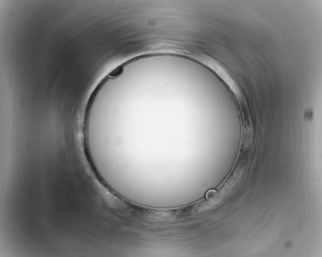 X0000102371101200808151829