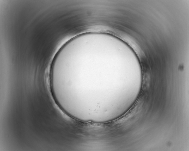 X0000102371103200808151829