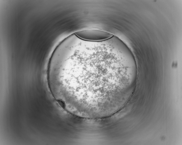 X0000102371104200808151829