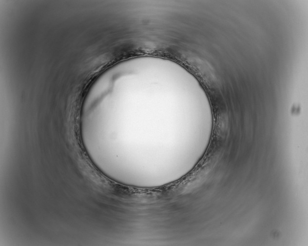 X0000102371105200808151828