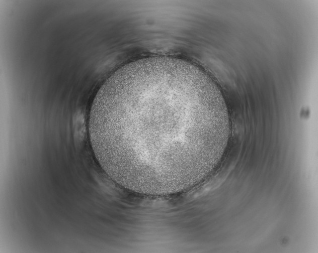 X0000102371106200808151828