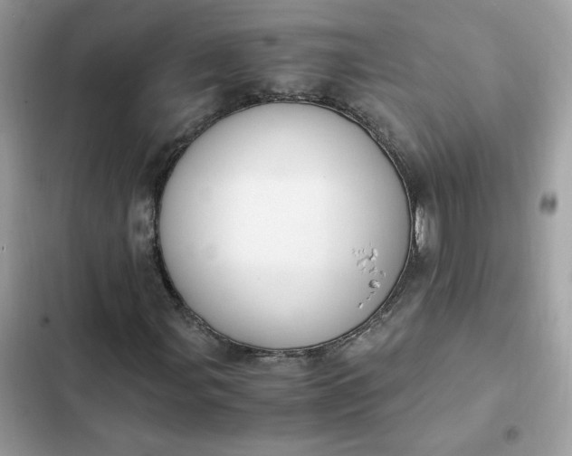 X0000102371107200808151828