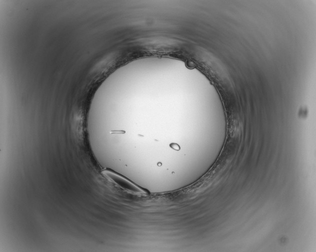 X0000102371108200808151828