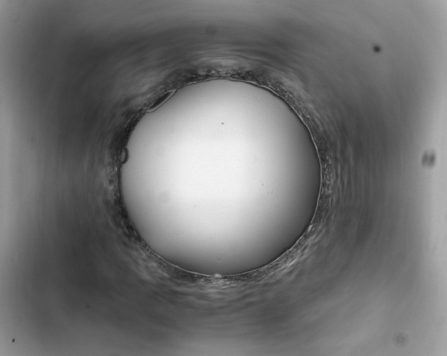 X0000102371109200808151828