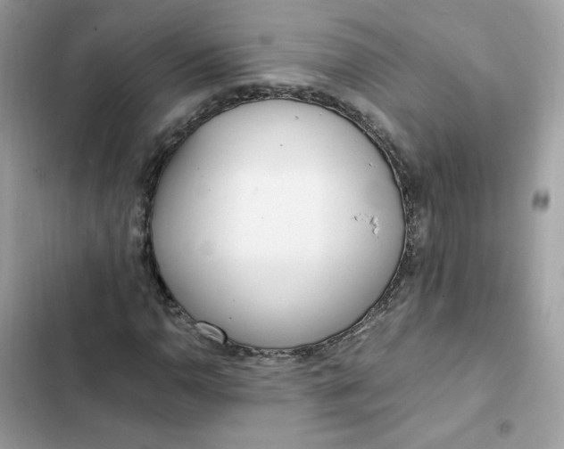 X0000102371110200808151829