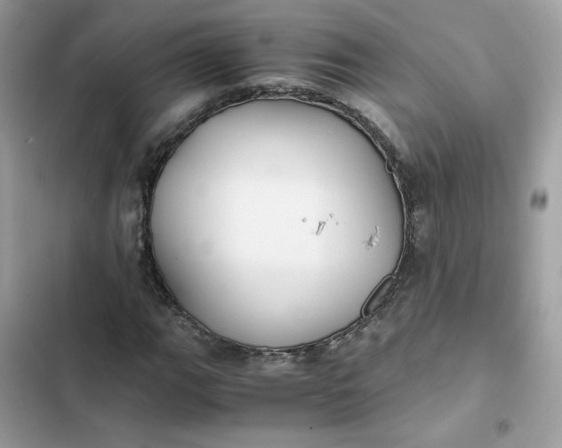 X0000102371111200808151829