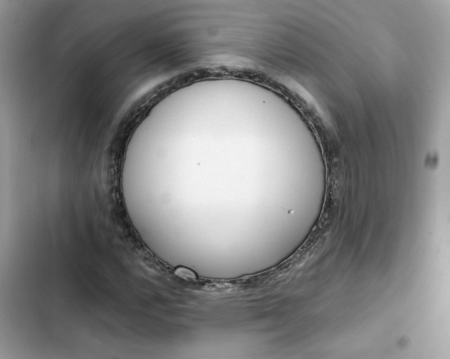 X0000102371112200808151829